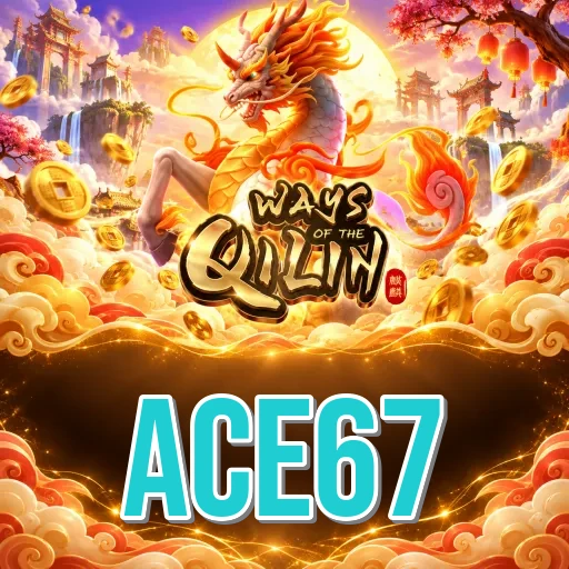 ace67 Expert Team